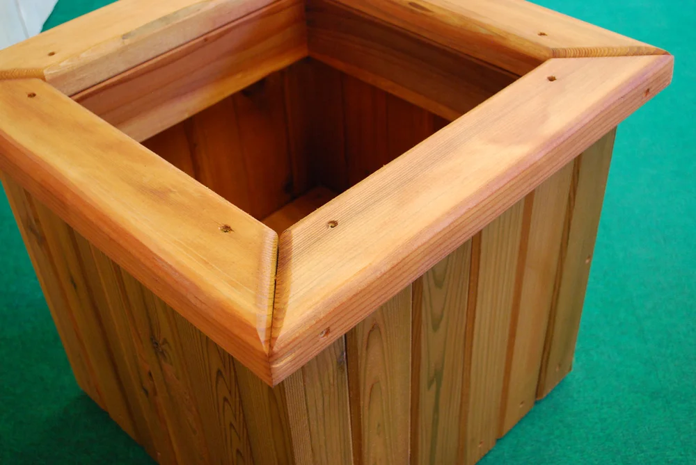 best fertilizer for indoor plants Best Houseplant Fertilizer