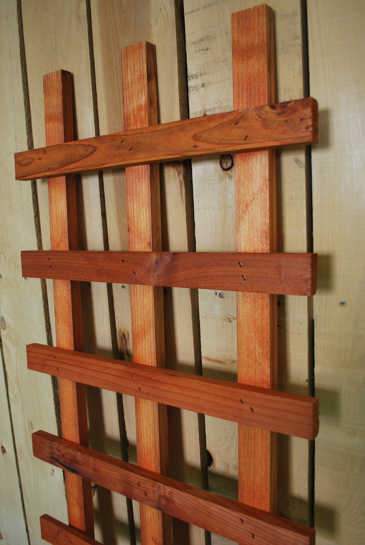 redwood ladder trellis