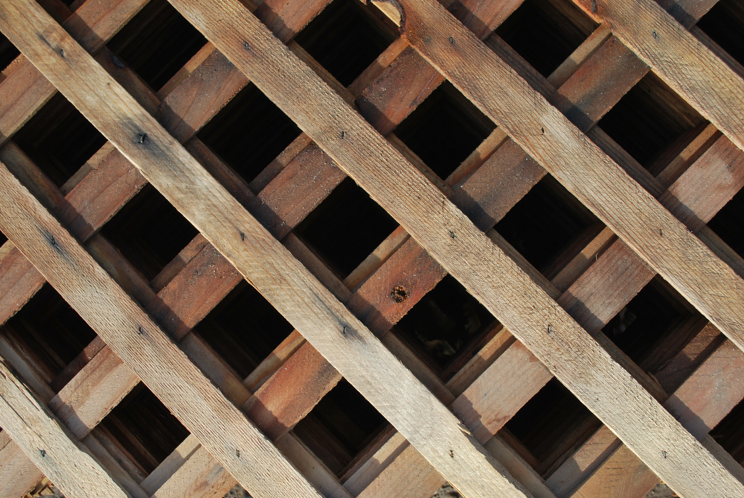 redwood lattice