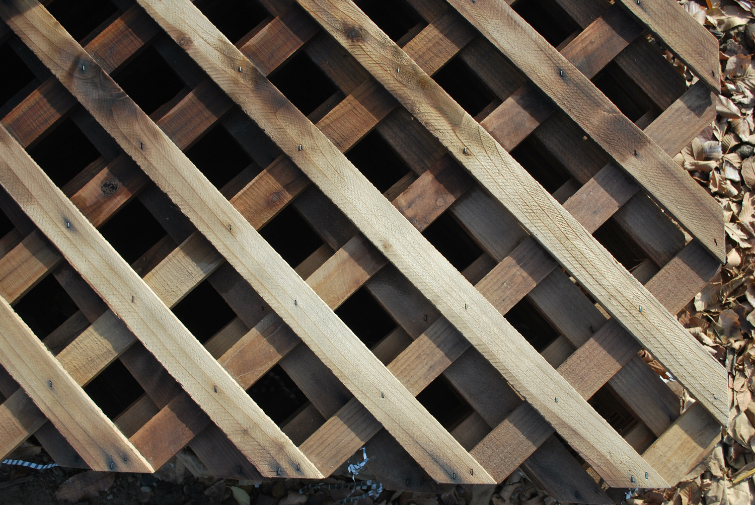 redwood lattice