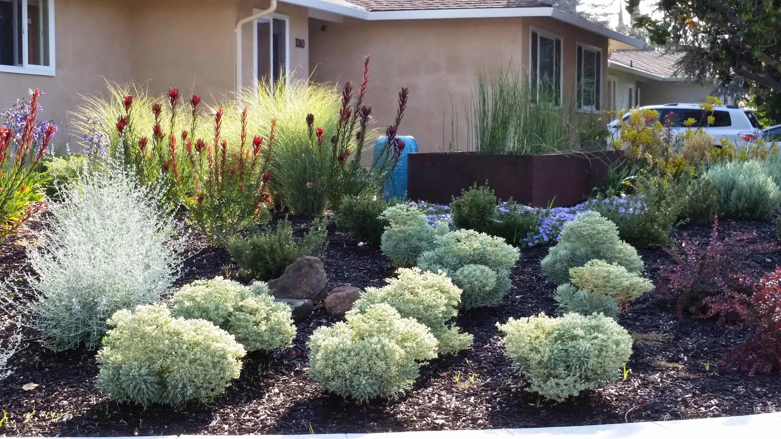 Modern landscape with black mulch, moss rock and raw steel planters. 