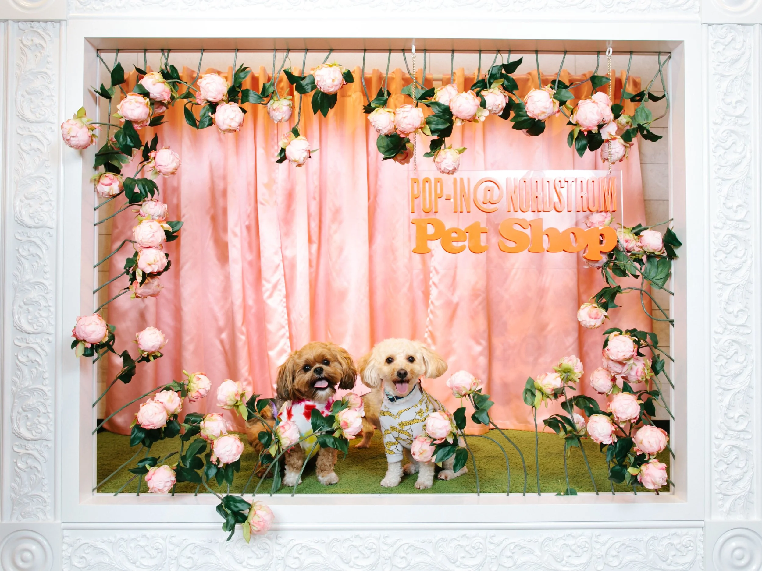  Seattle event photographer, Seattle corporate photographer 