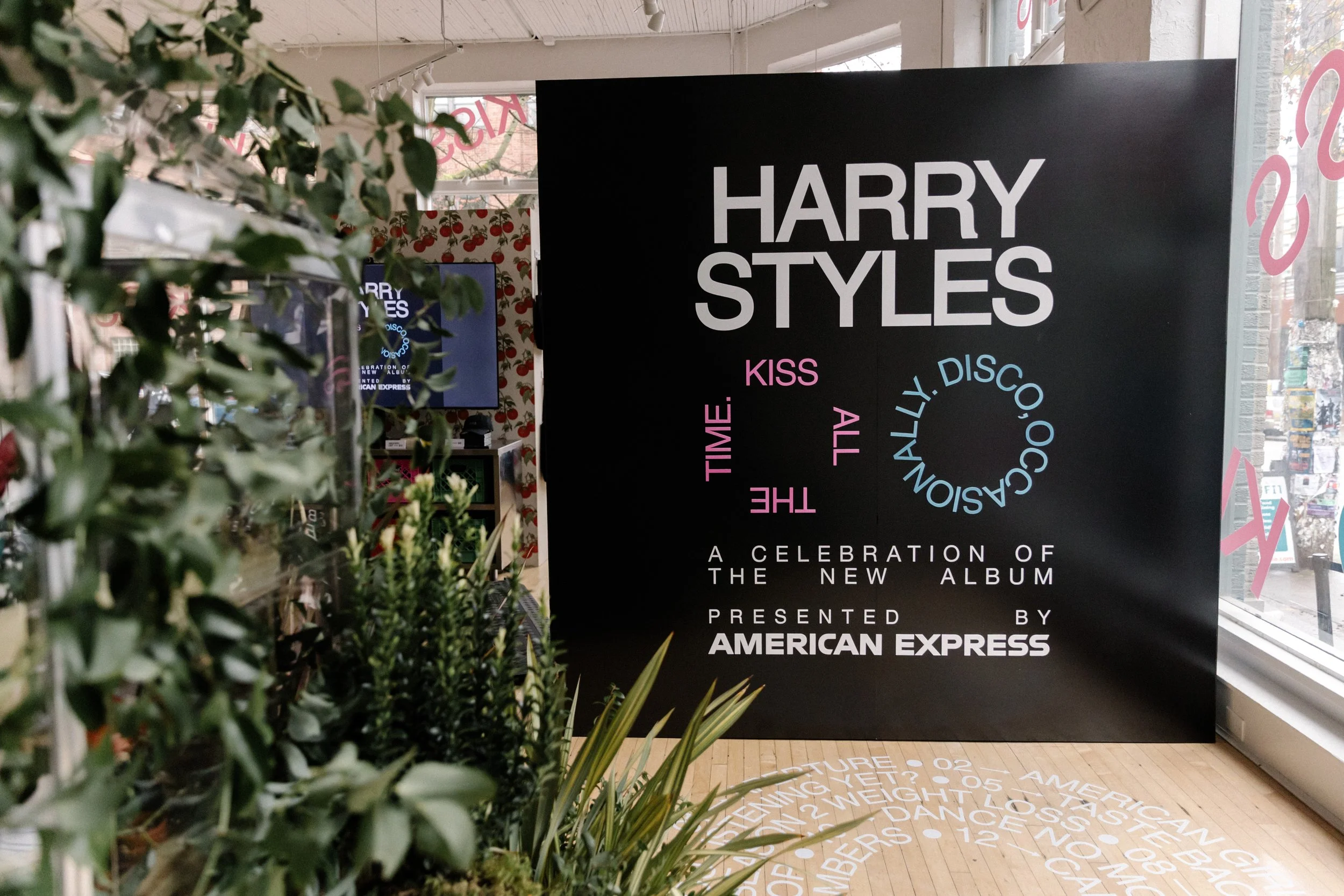  Seattle event photographer, Harry Styles pop up photographer, Seattle political photographer, Seattle corporate photographer, Seattle portrait photographer 