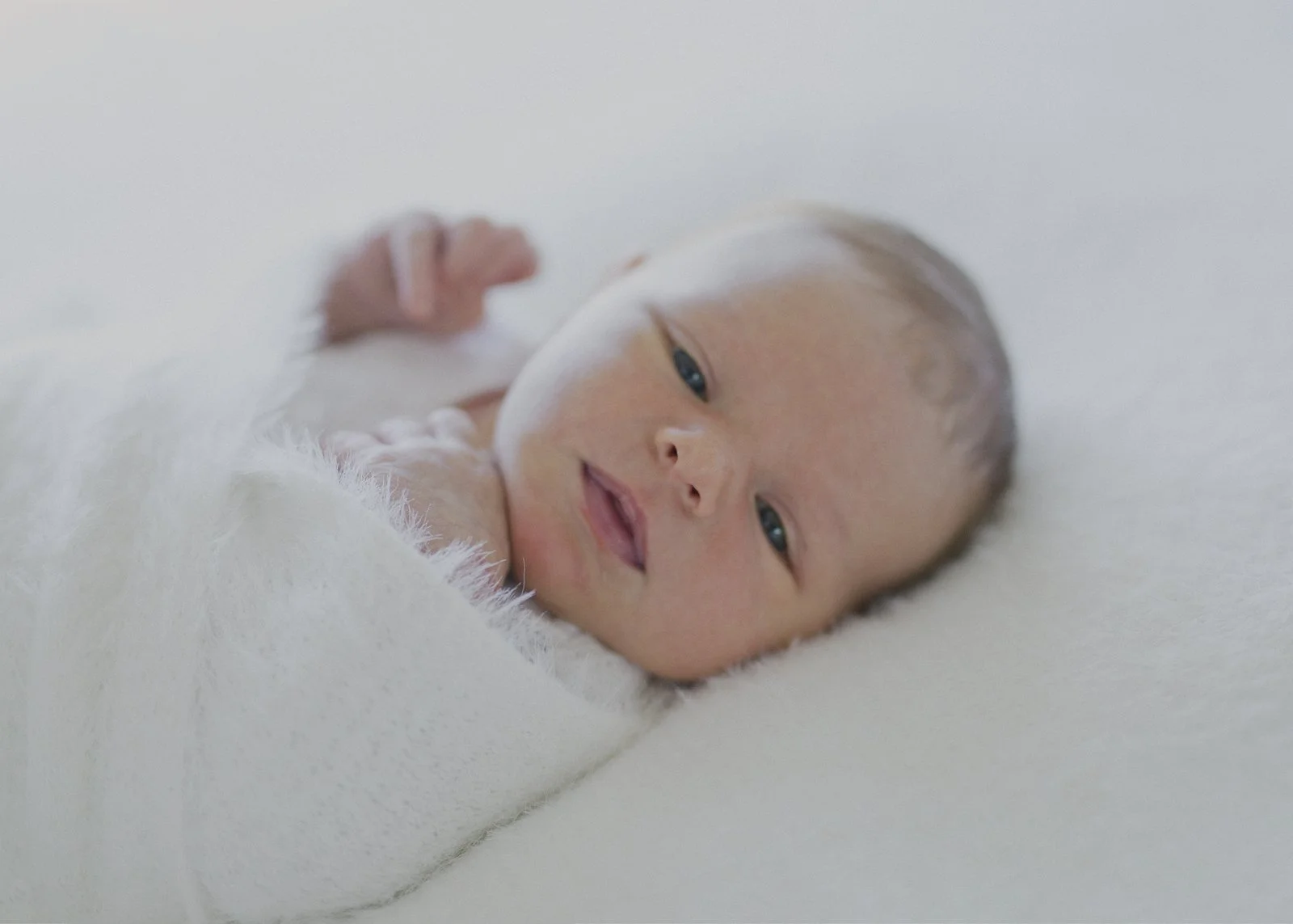 Melbourne Newborn Photography