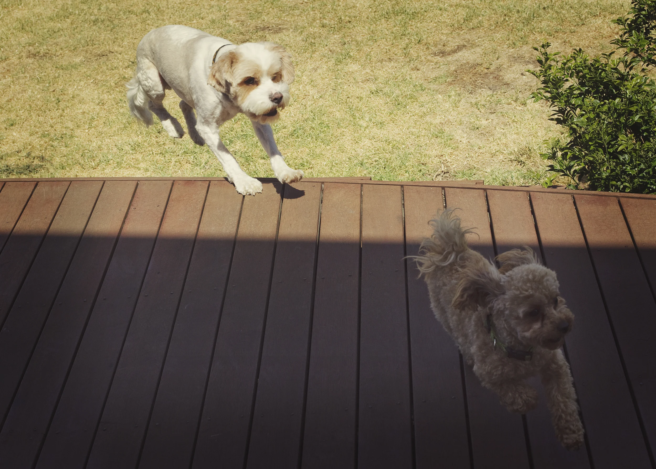 Jump UP the steps!