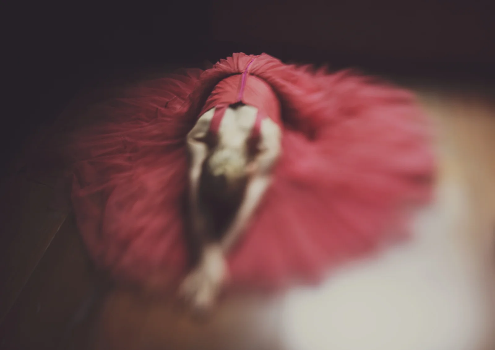 Freelensed photo of a ballerina!