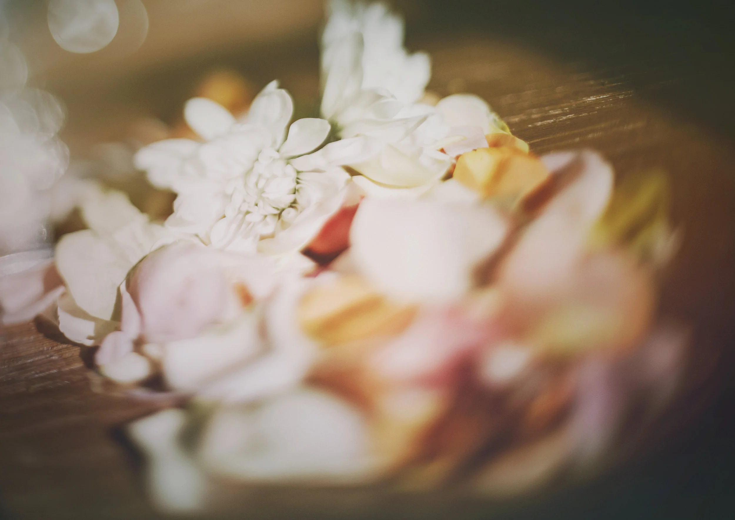 Freelensed image of flower petals!