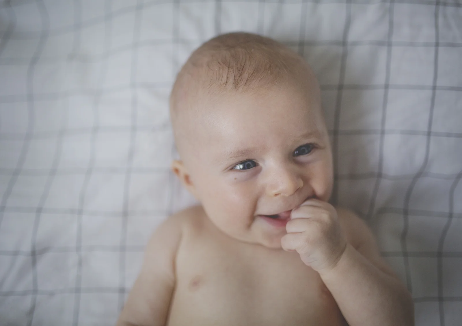 Baby & Family Portrait Photography Melbourne