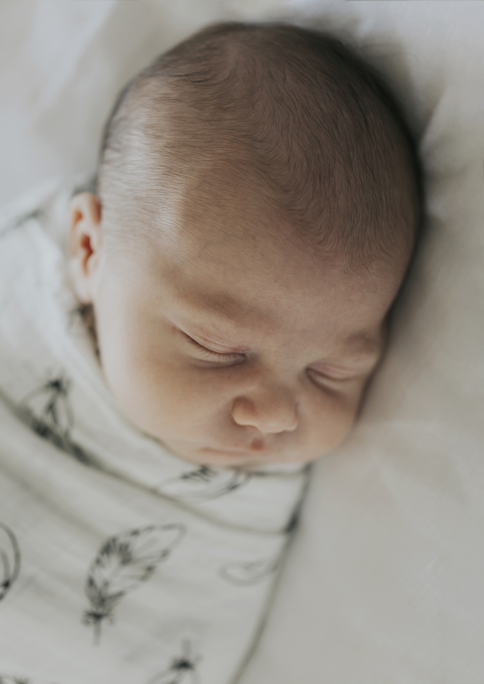Newborn Photography in your home Melbourne based