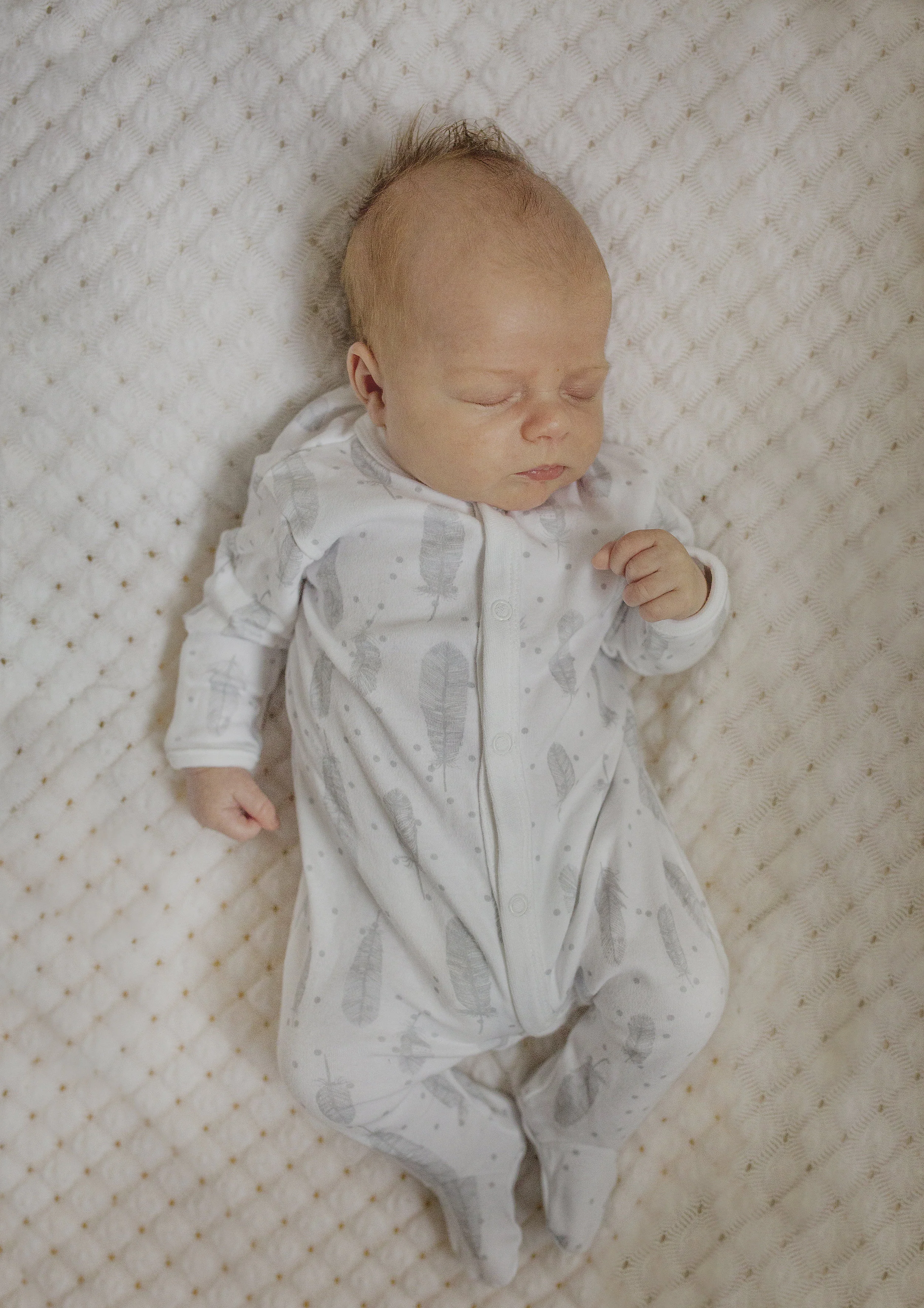 Baby Lifestyle Photography Bayside Melbourne