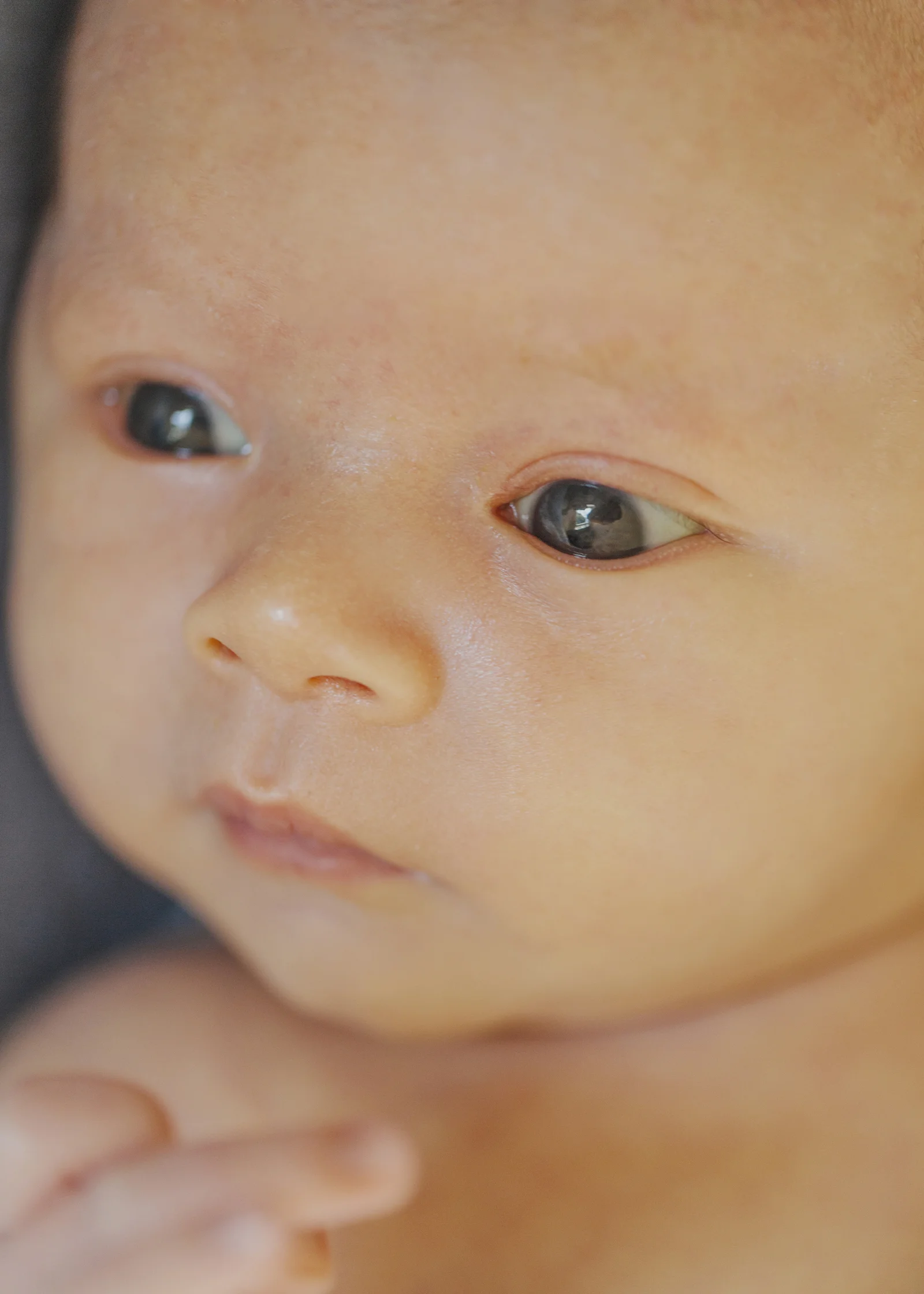 Newborn Baby Boy's tiny details