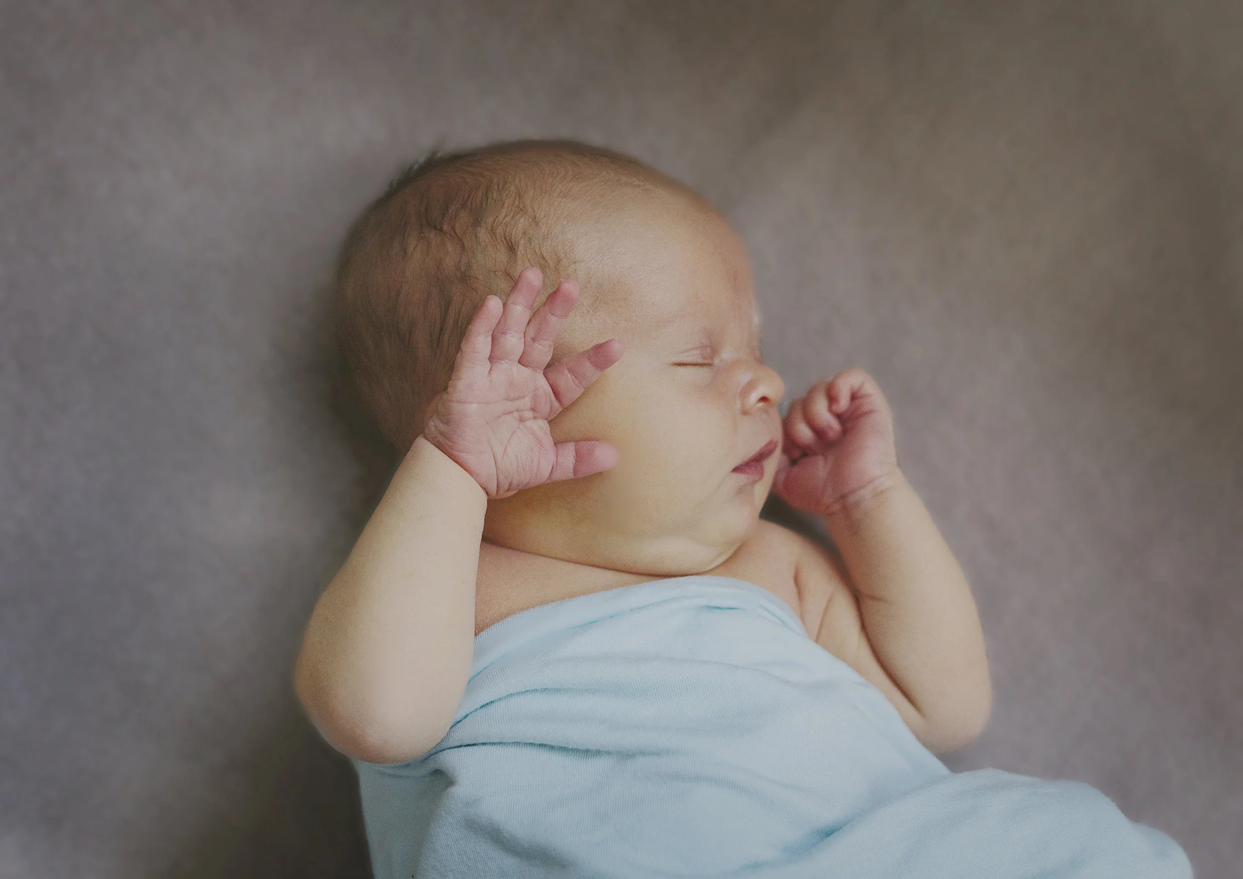Bayside Newborn Photographer