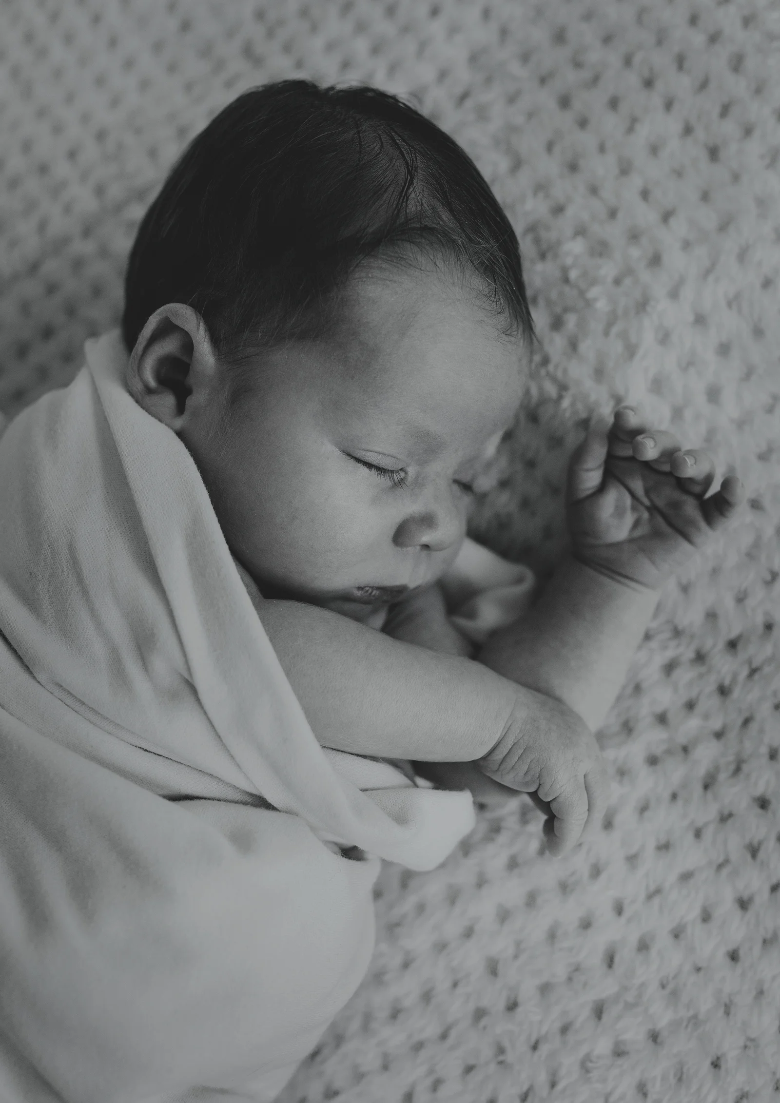 Melbourne Baby Photography