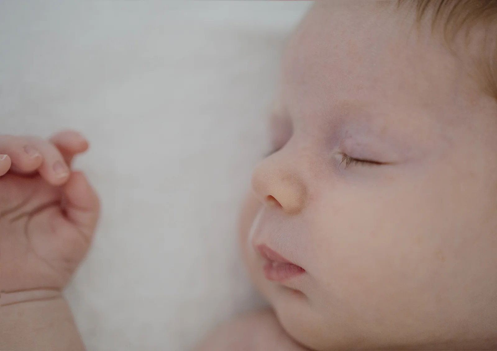 On Location Newborn & Family Photography Melbourne