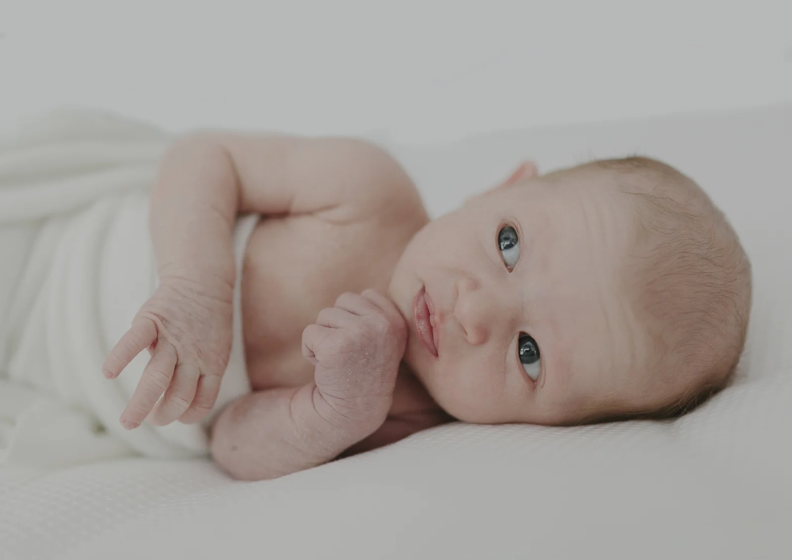 Melbourne Newborn Photographer