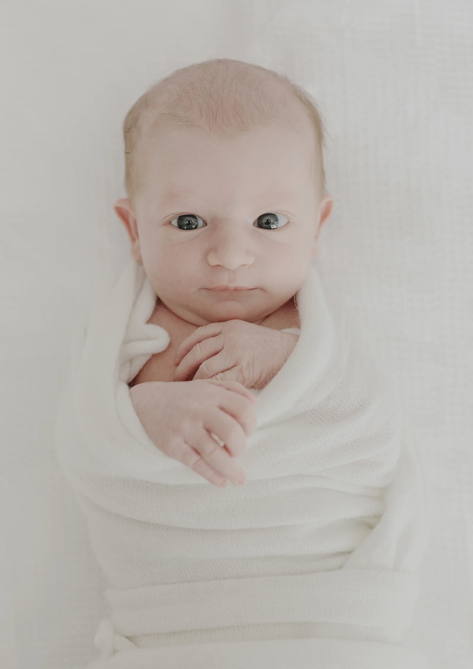 Baby photography Bayside Melbourne
