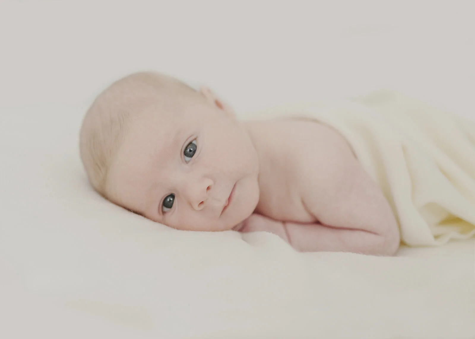 professional baby photos near me
