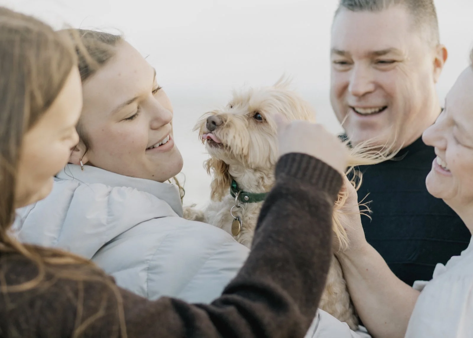 Why You Should Include Your Dog in Your Family Photo Shoot!