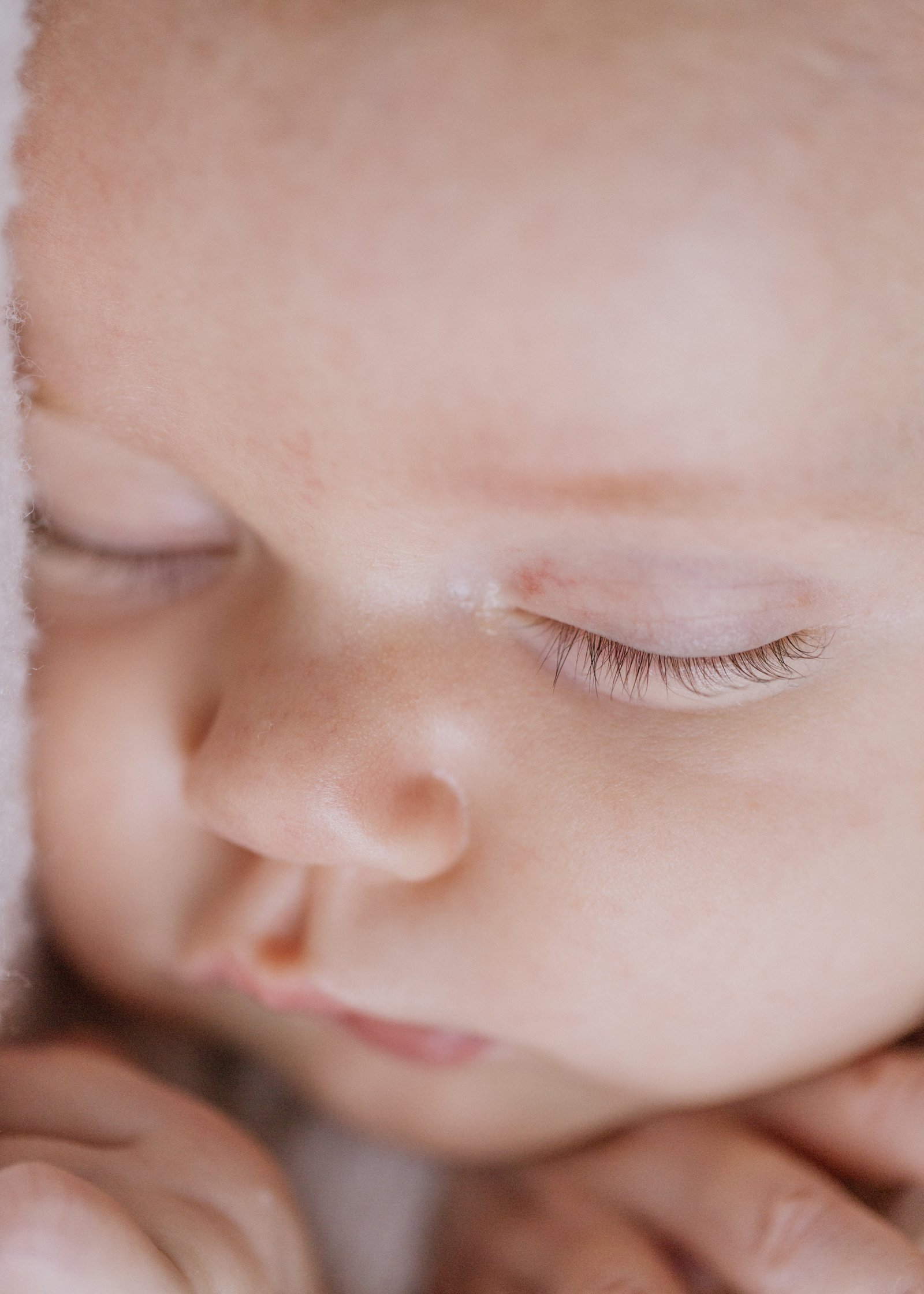 2 Month Old Baby girl's tiny features