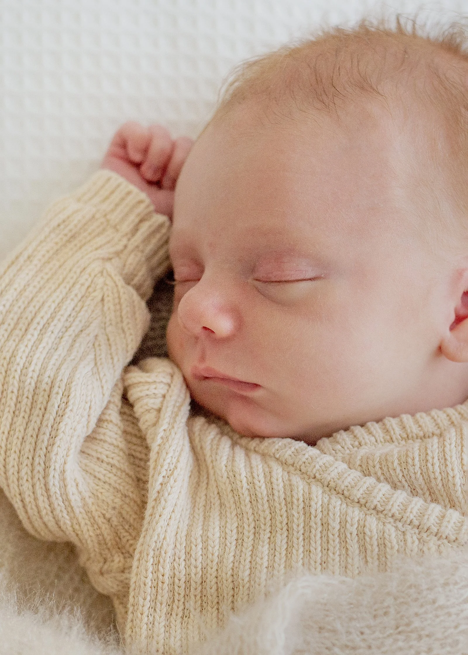 Newborn Photography Bayside Melbourne