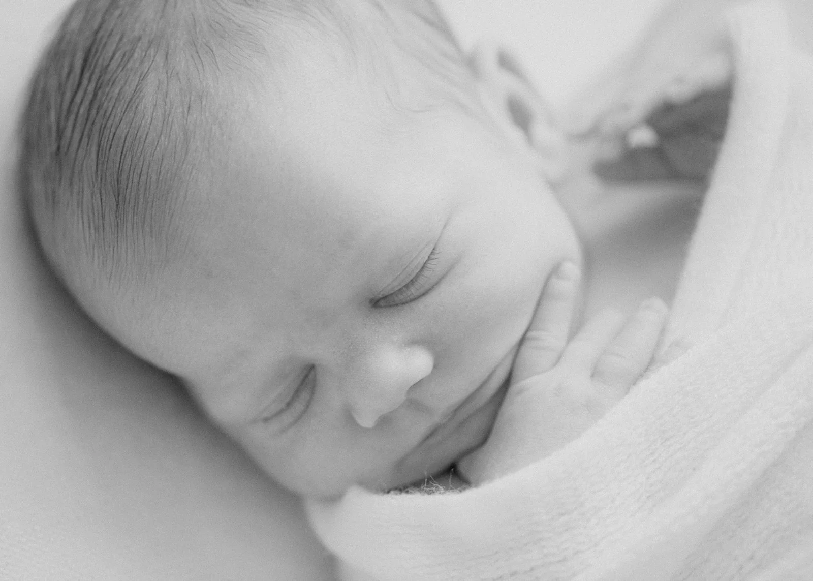 Bayside Newborn Photography