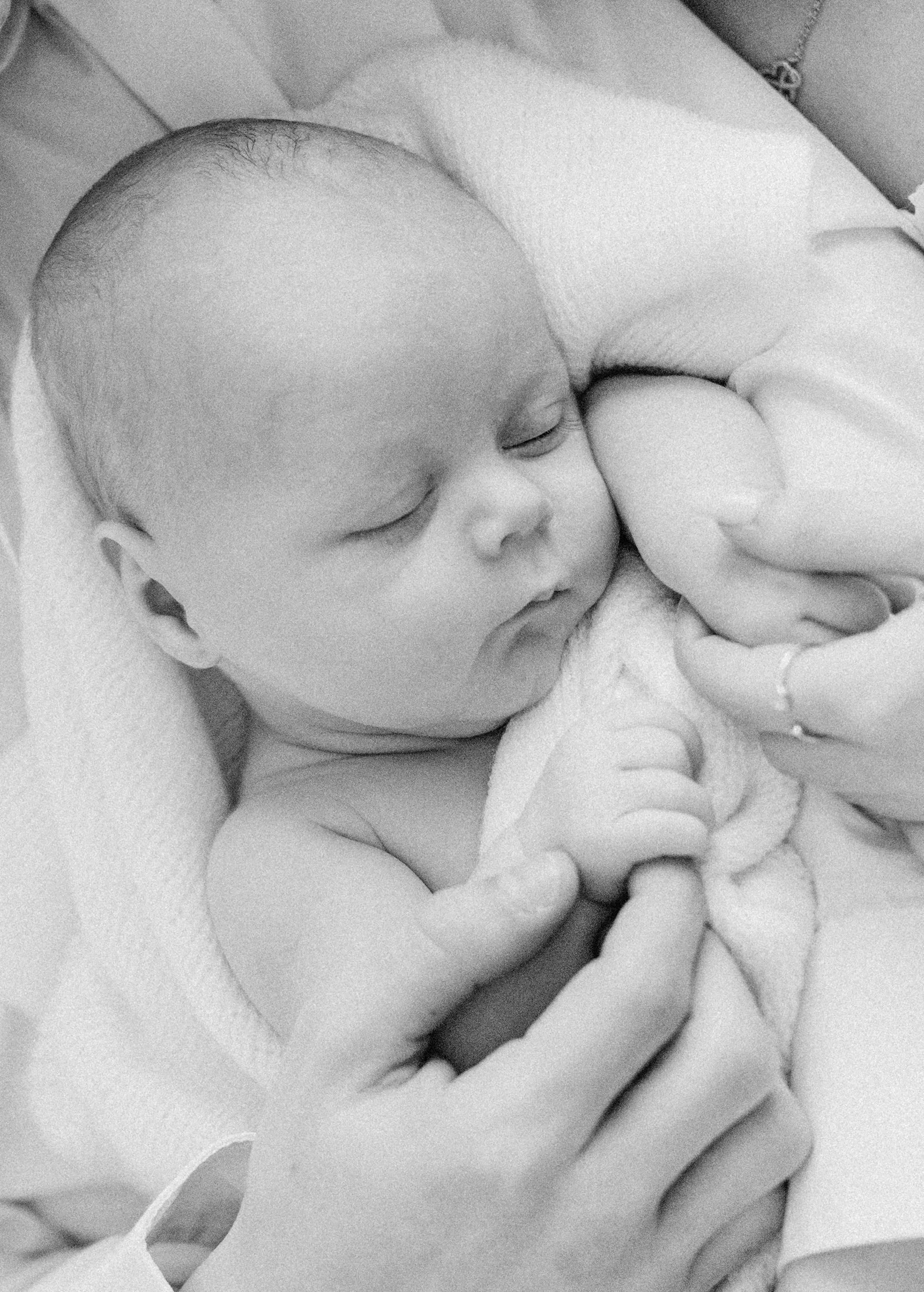 Melbourne Baby Photographer
