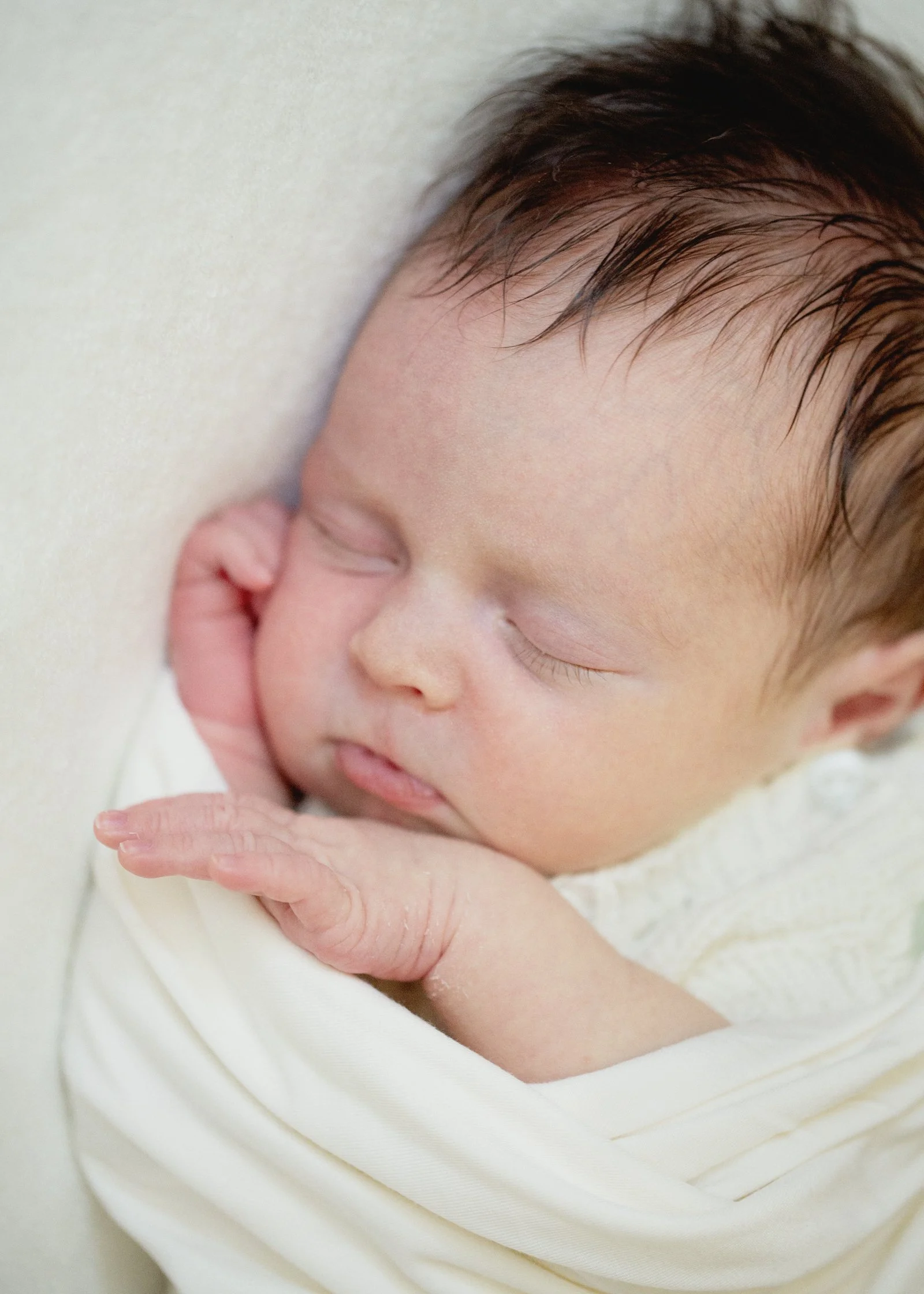 Bayside Newborn Photographer