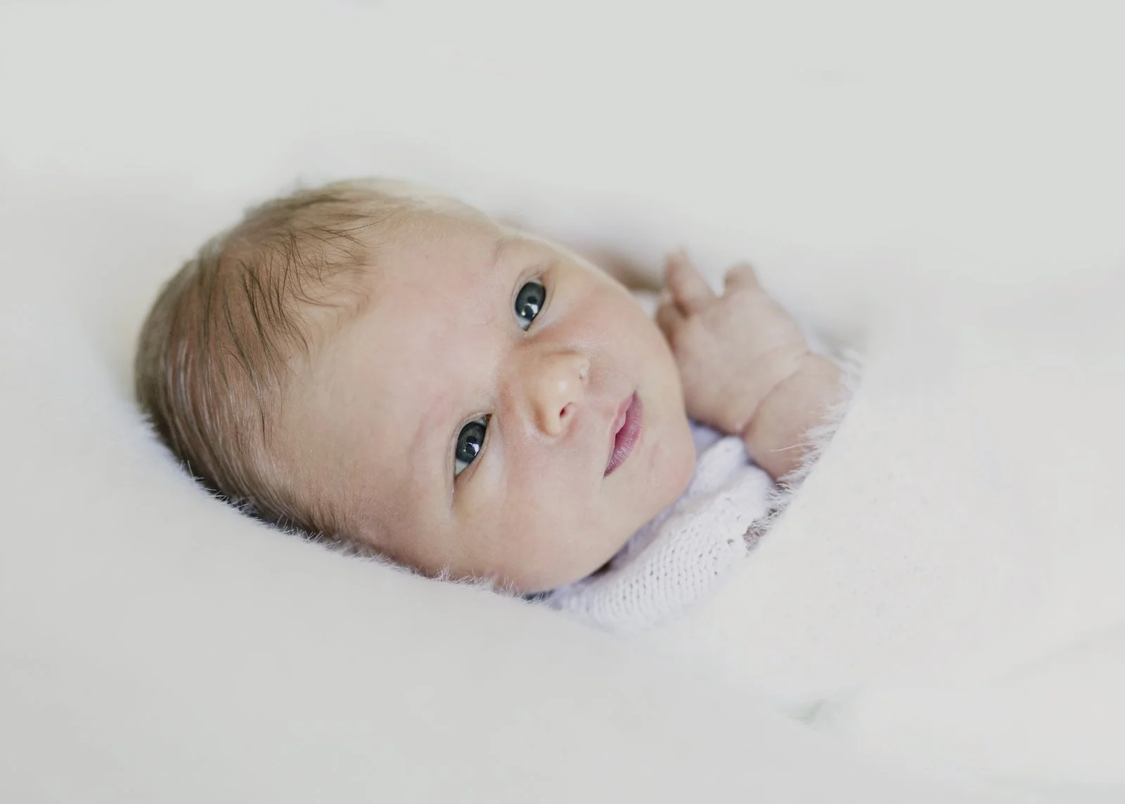 Natural Newborn Photography Bayside