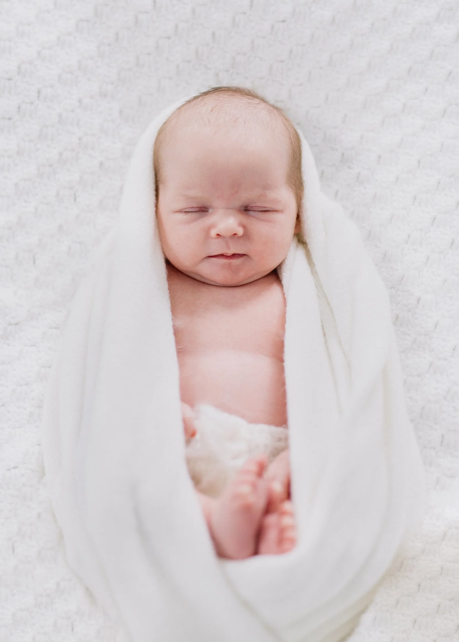 Newborn Photography Bayisde Melbourne