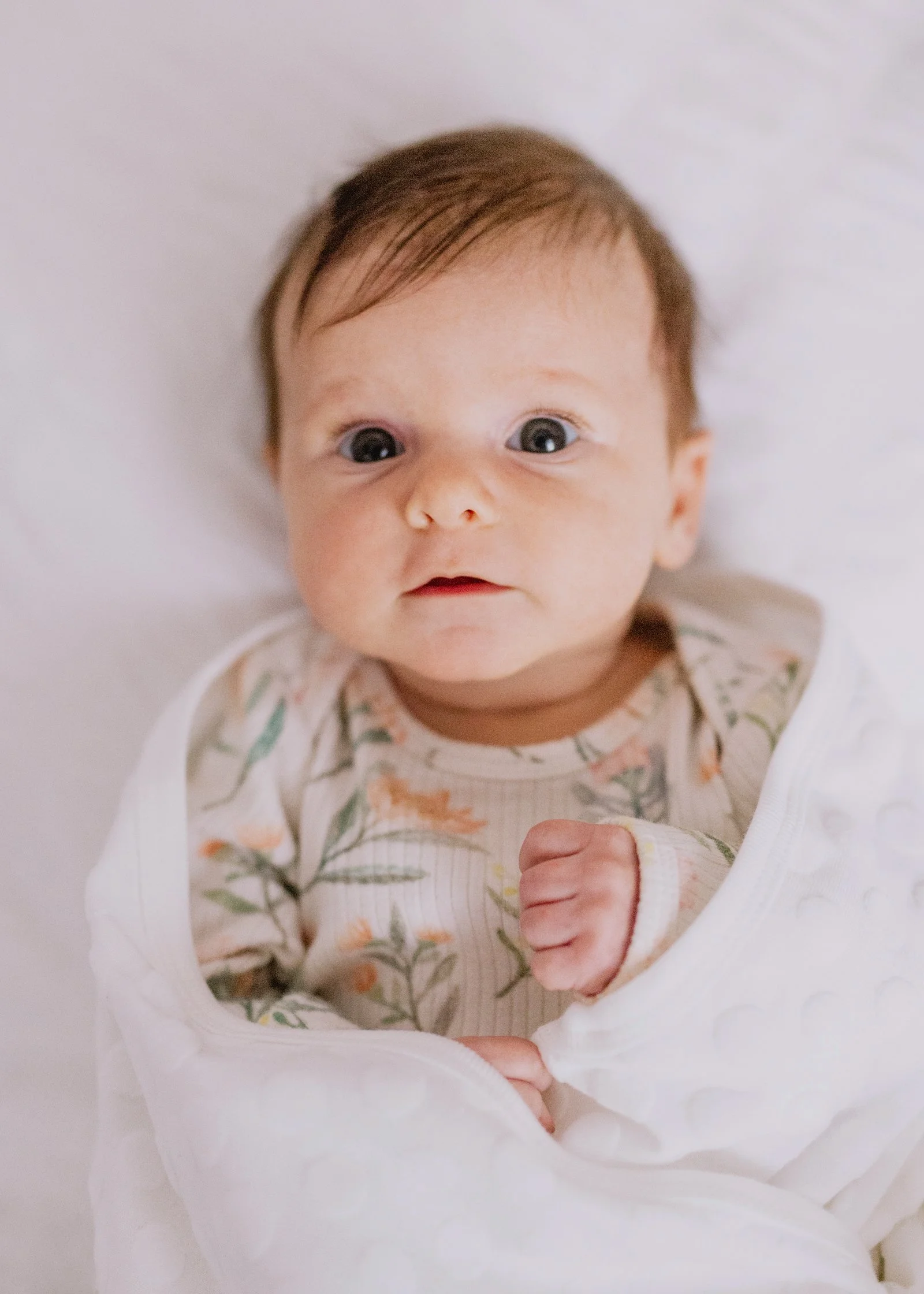 Newborn and baby photographer