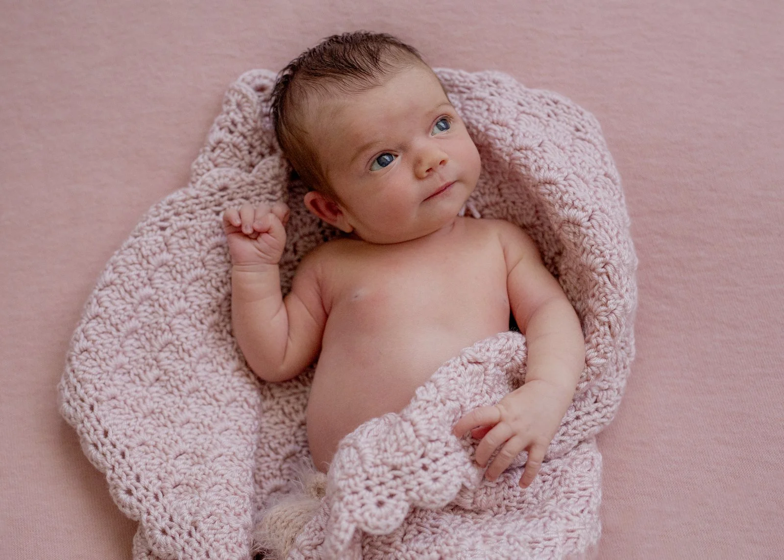 Professional Newborn Photographer