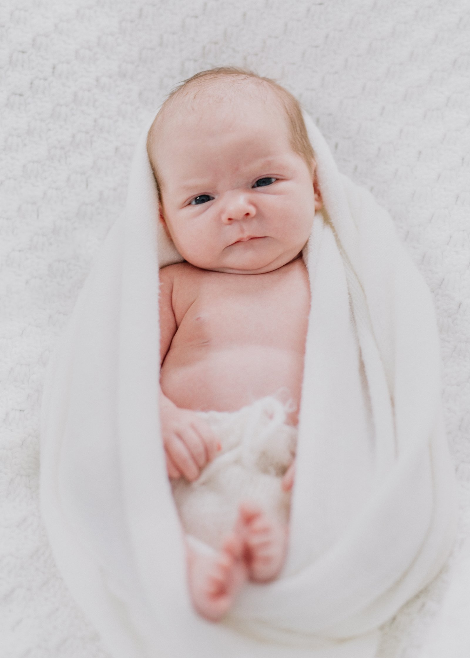 Newborn Photographer Bayside Melbourne