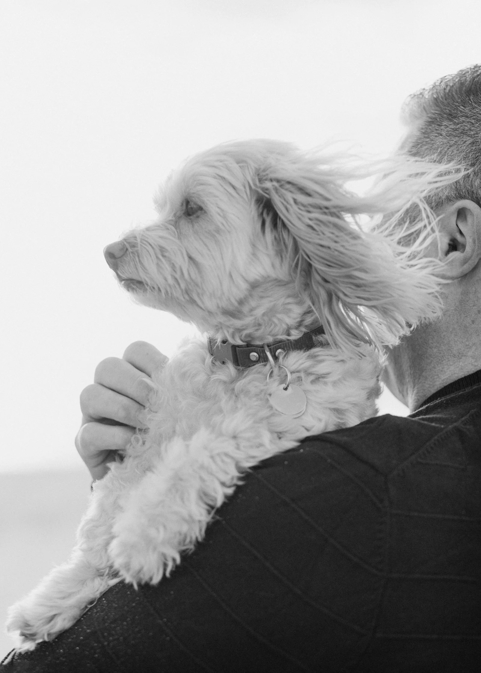 Include your dog in family photos