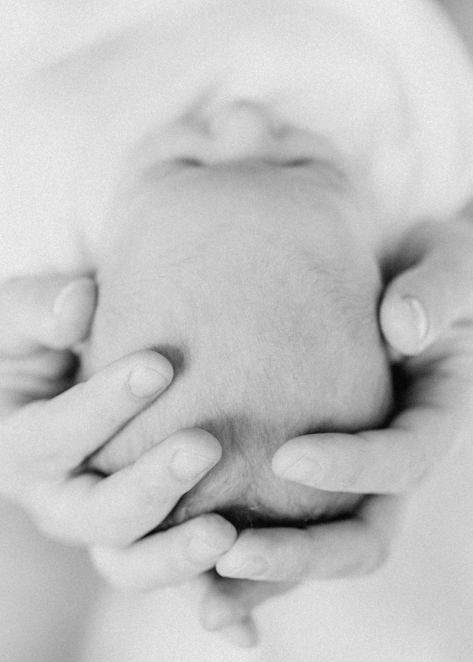 Melbourne Baby Photography