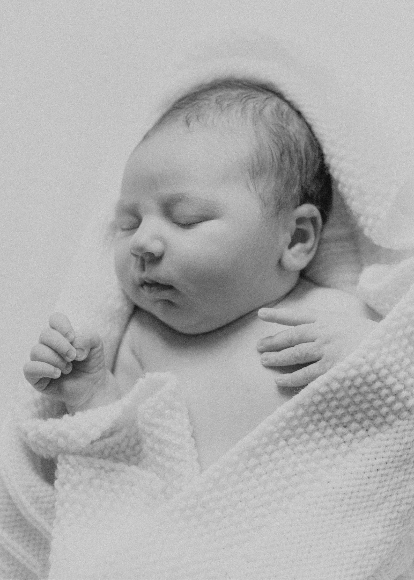 Melbourne Newborn Photography
