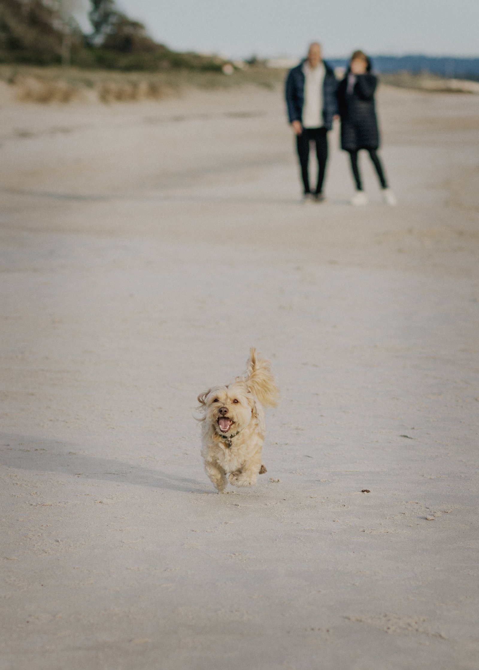 Melbourne beach family photography