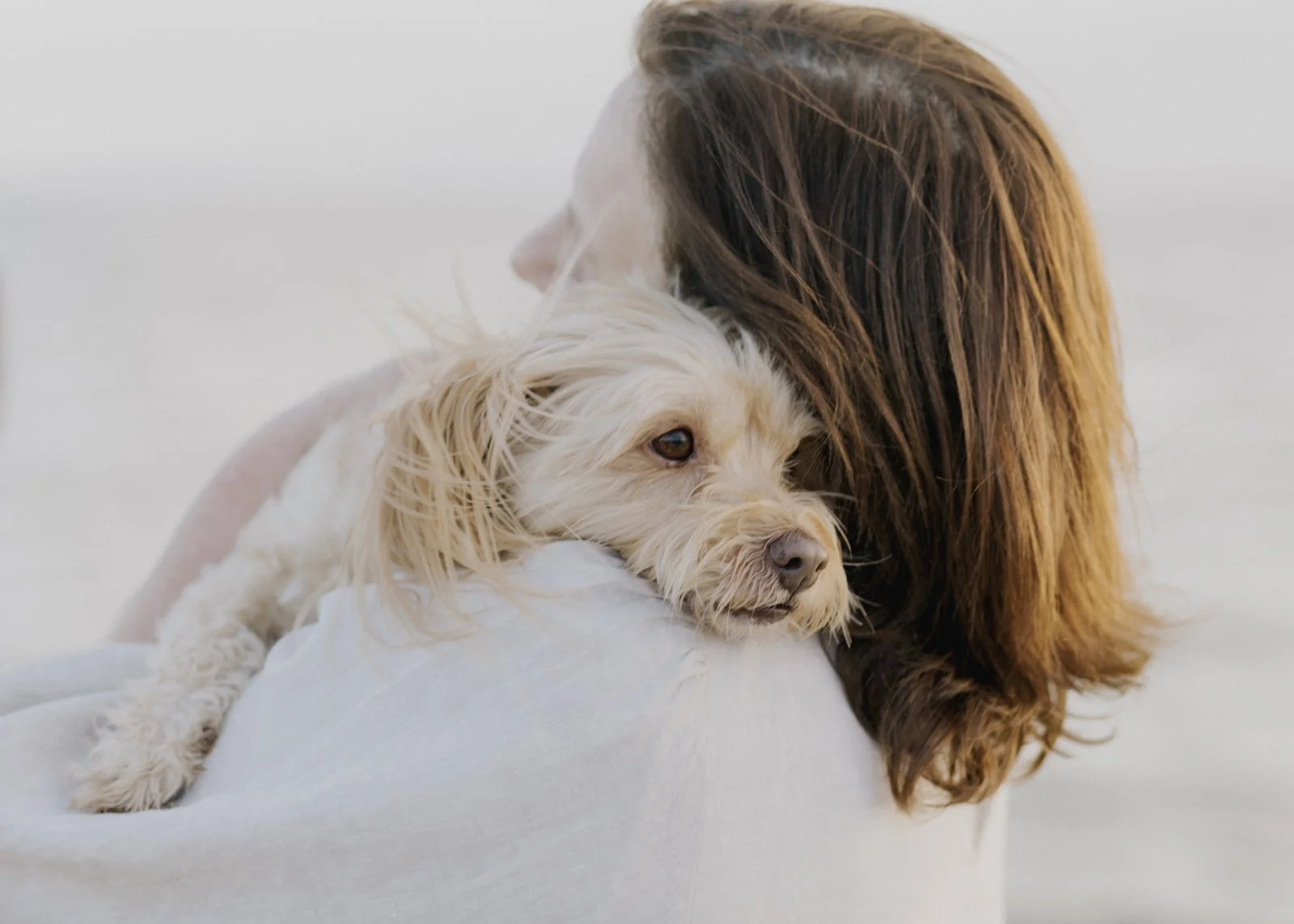 Dog-friendly family photographer