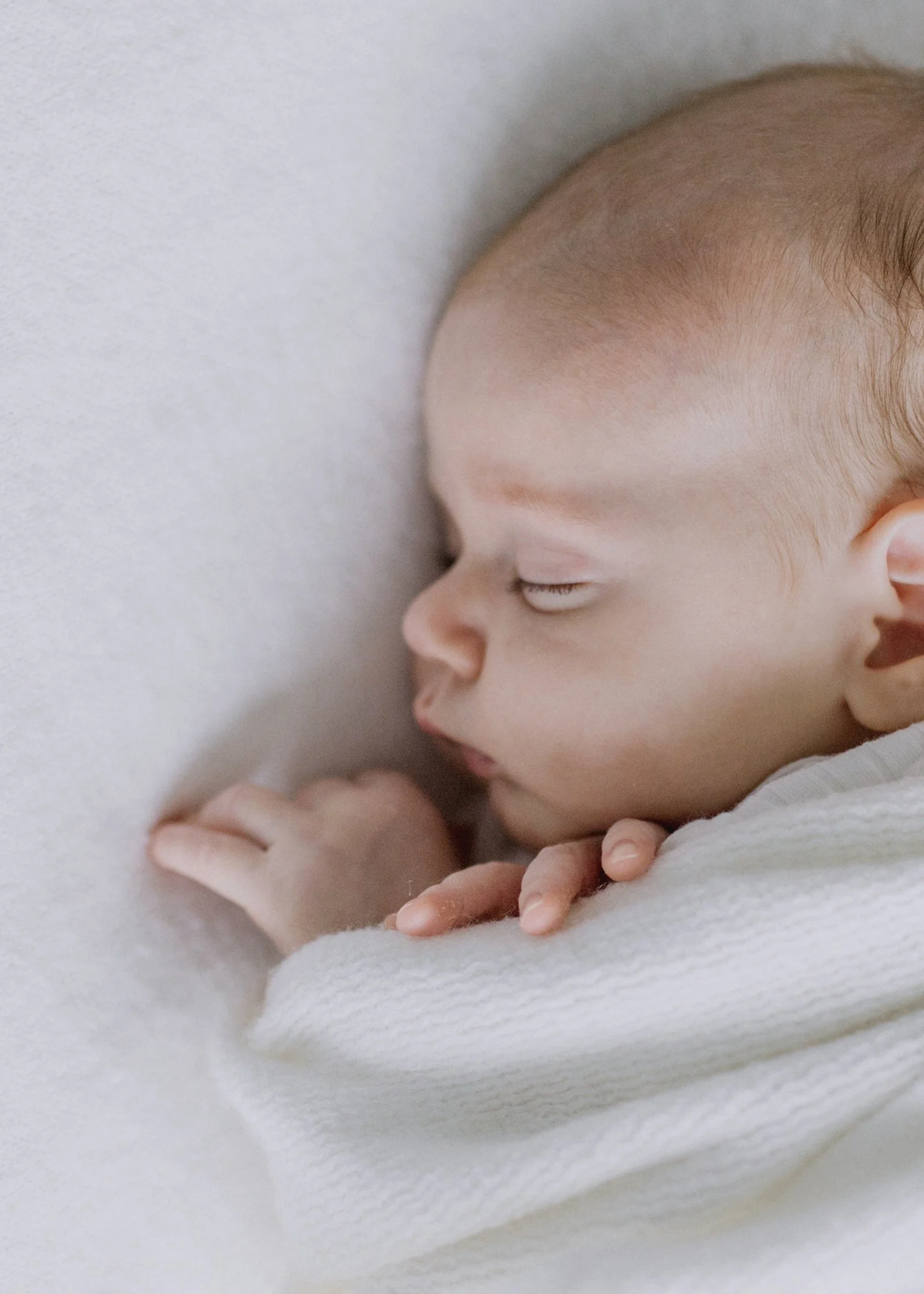 Baby Photography Bayside Melbourne