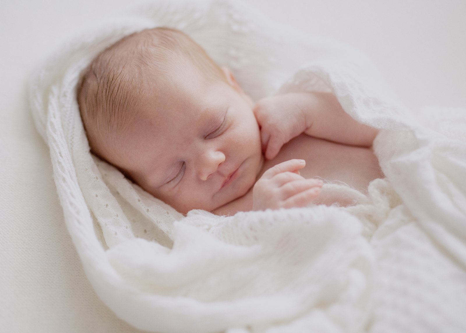 Bayside Newborn Photographer