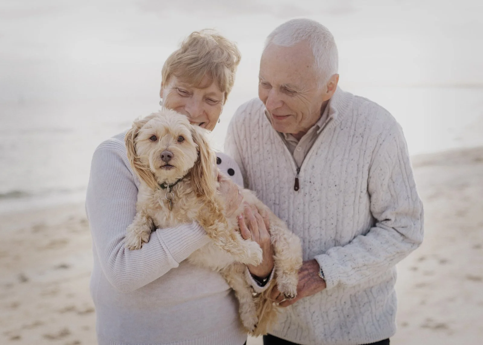 Bayside Family photographer