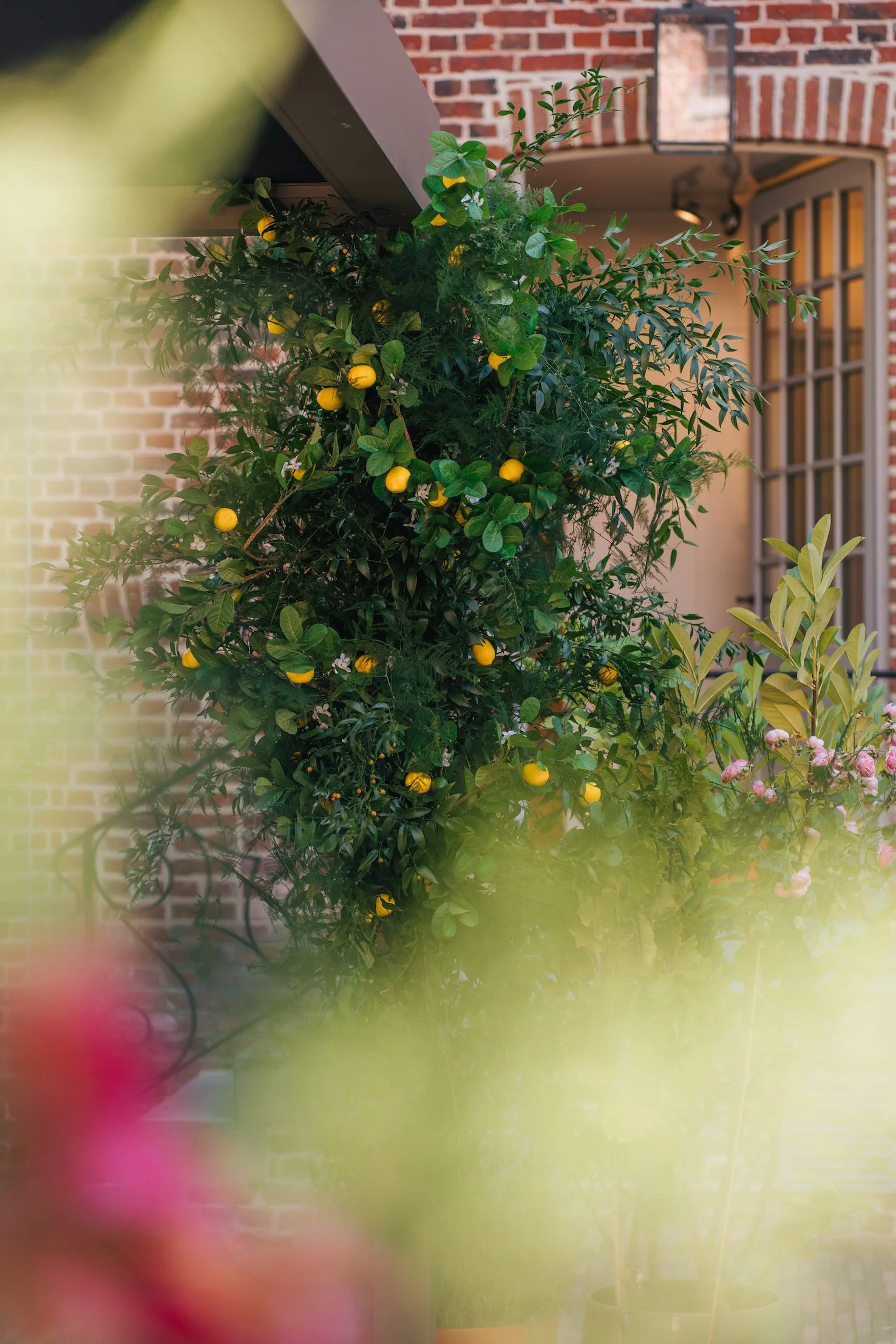 italiaanse sfeer bij kasteel