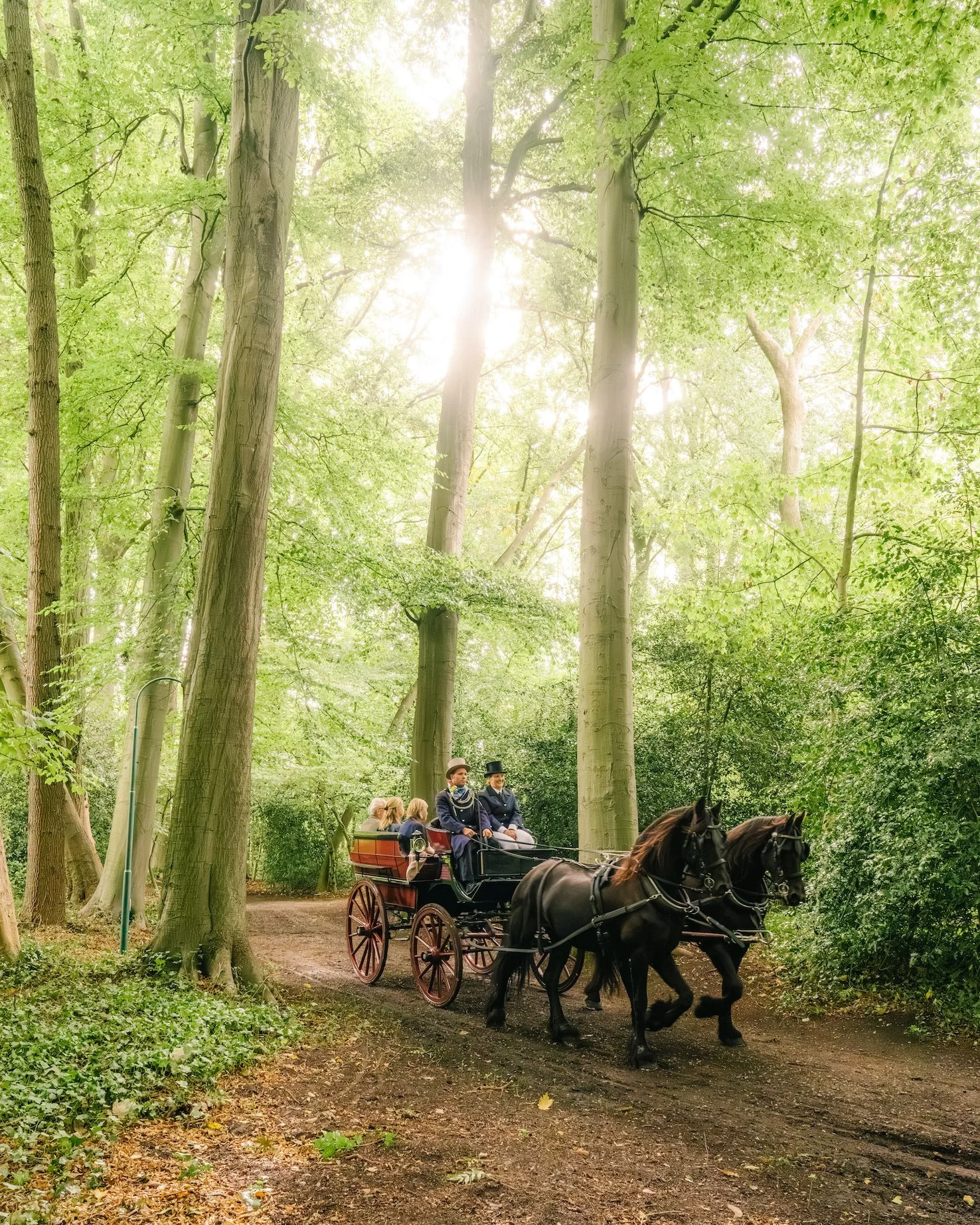 gasten van verjaardagsfeest in koets