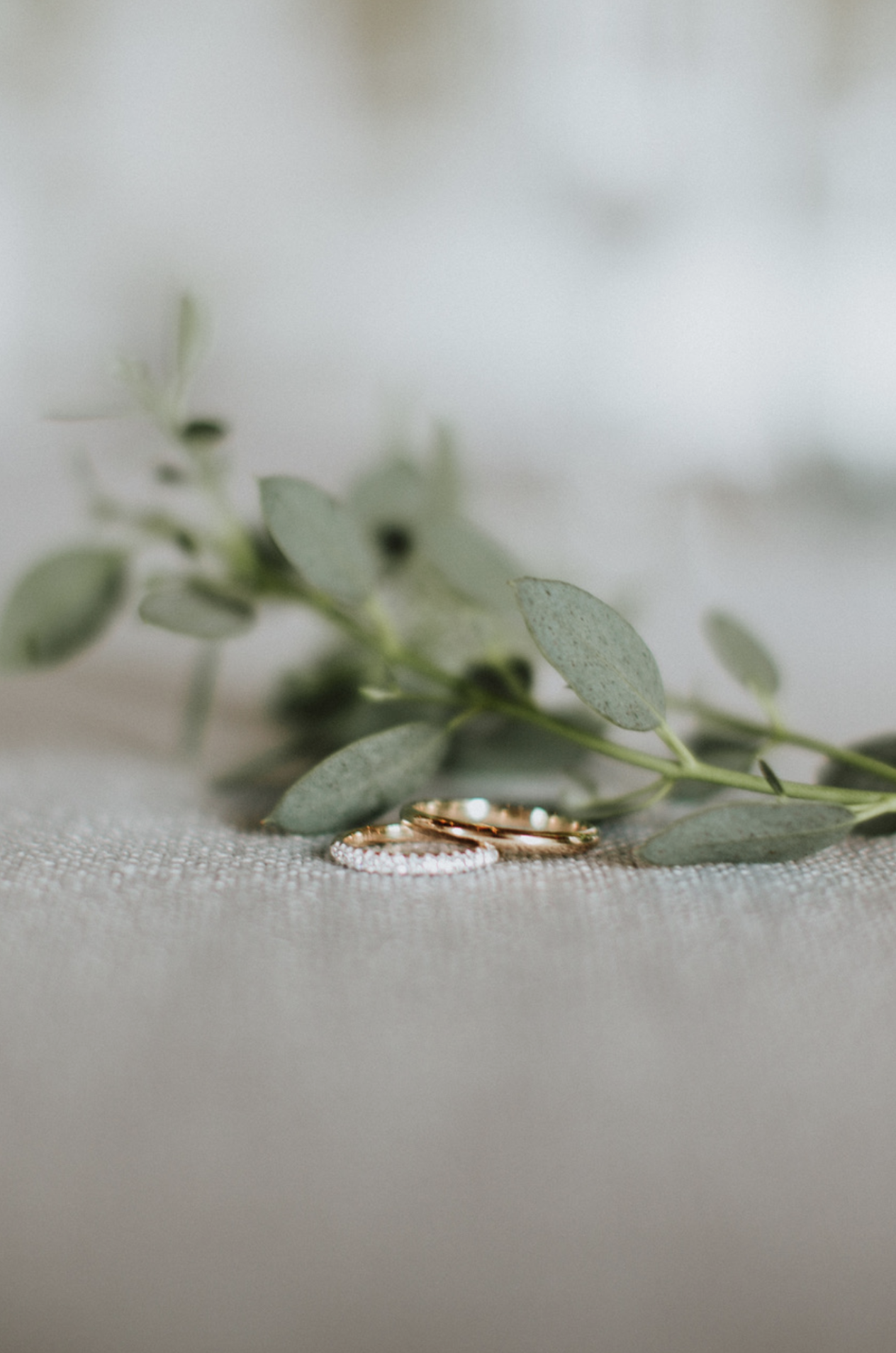 close-up van ringen