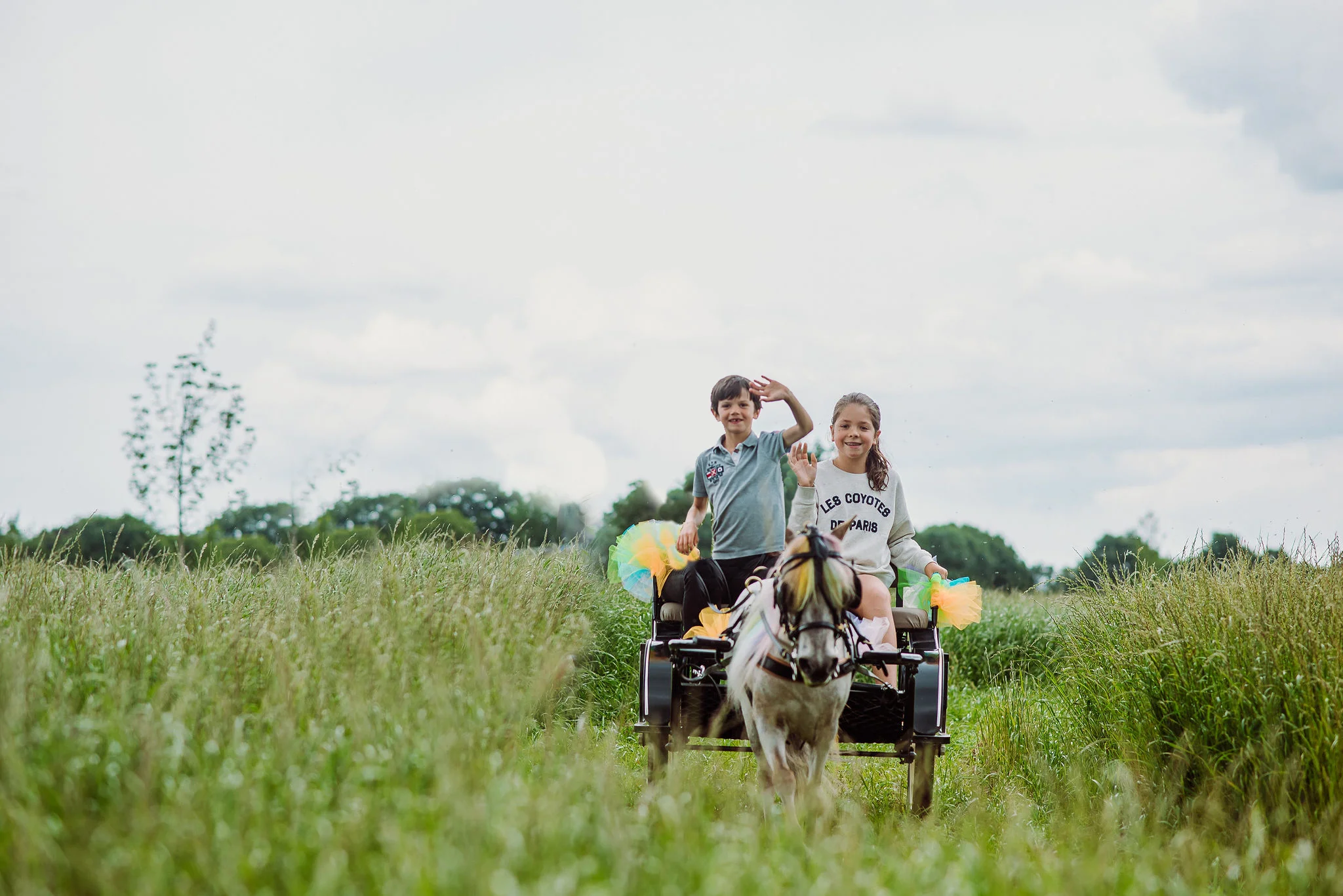 kinderen in paardenkar