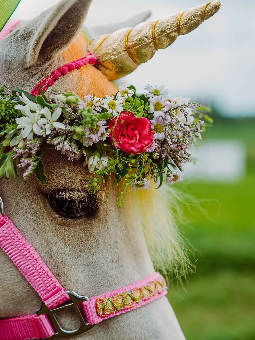 paard verkleed als unicorn