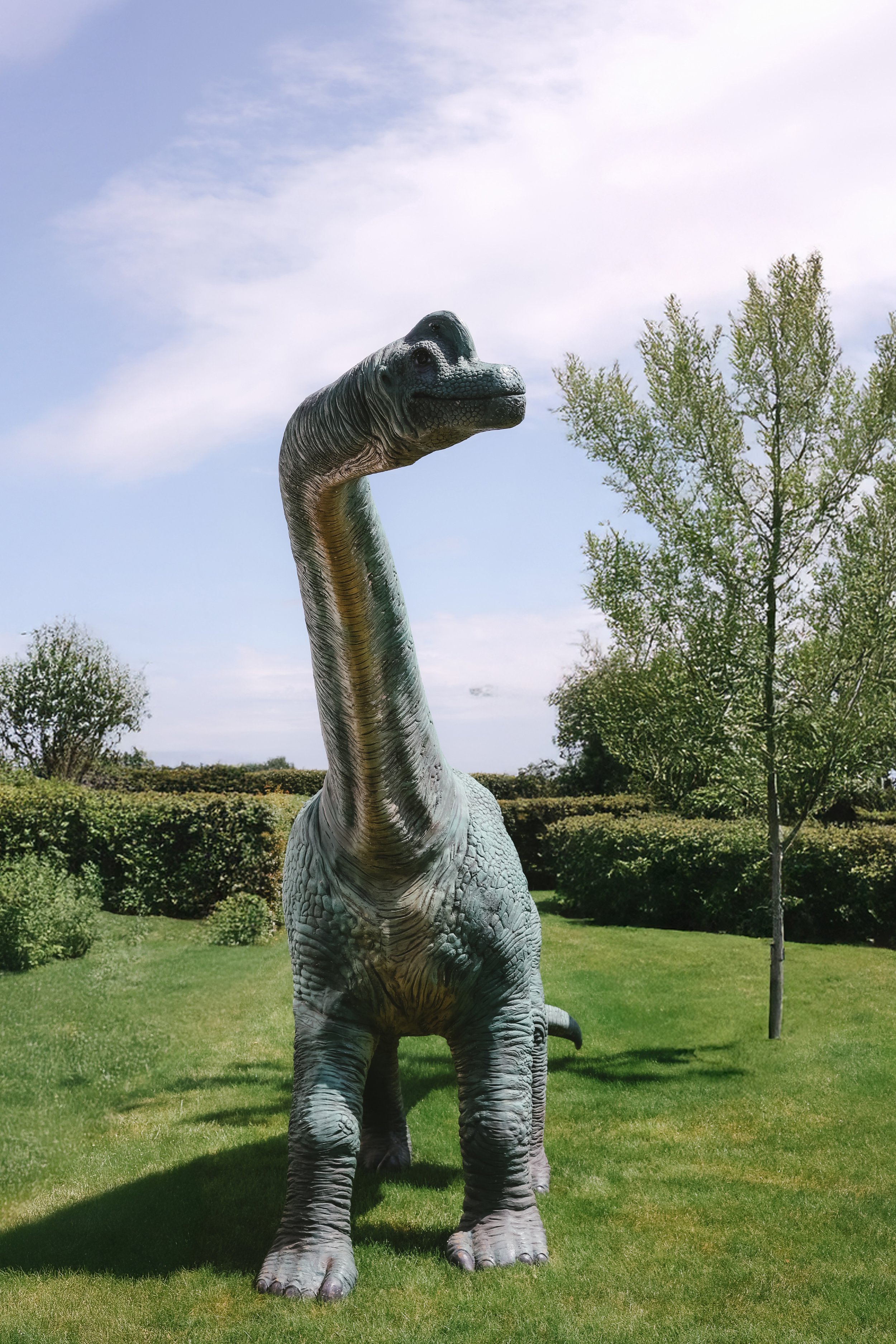grote dino als decoratie