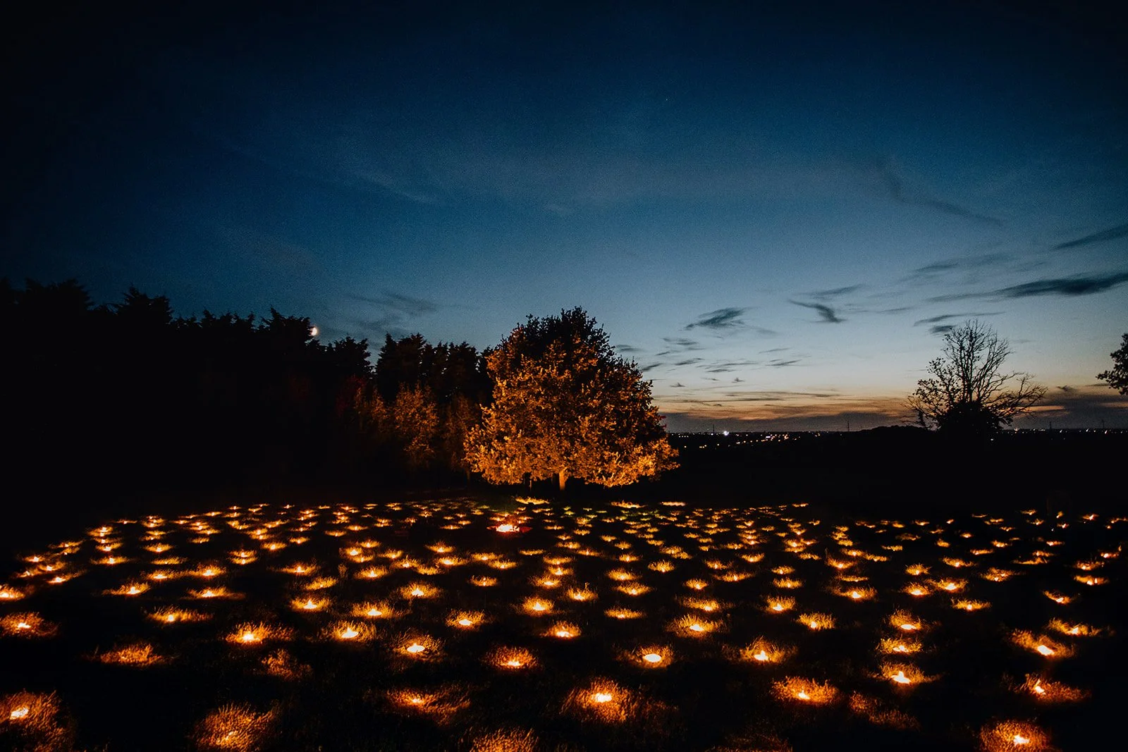 lichten in gras als decoratie