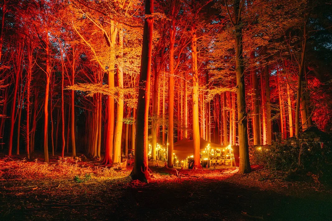 verlichte tent in bos voor teambuilding