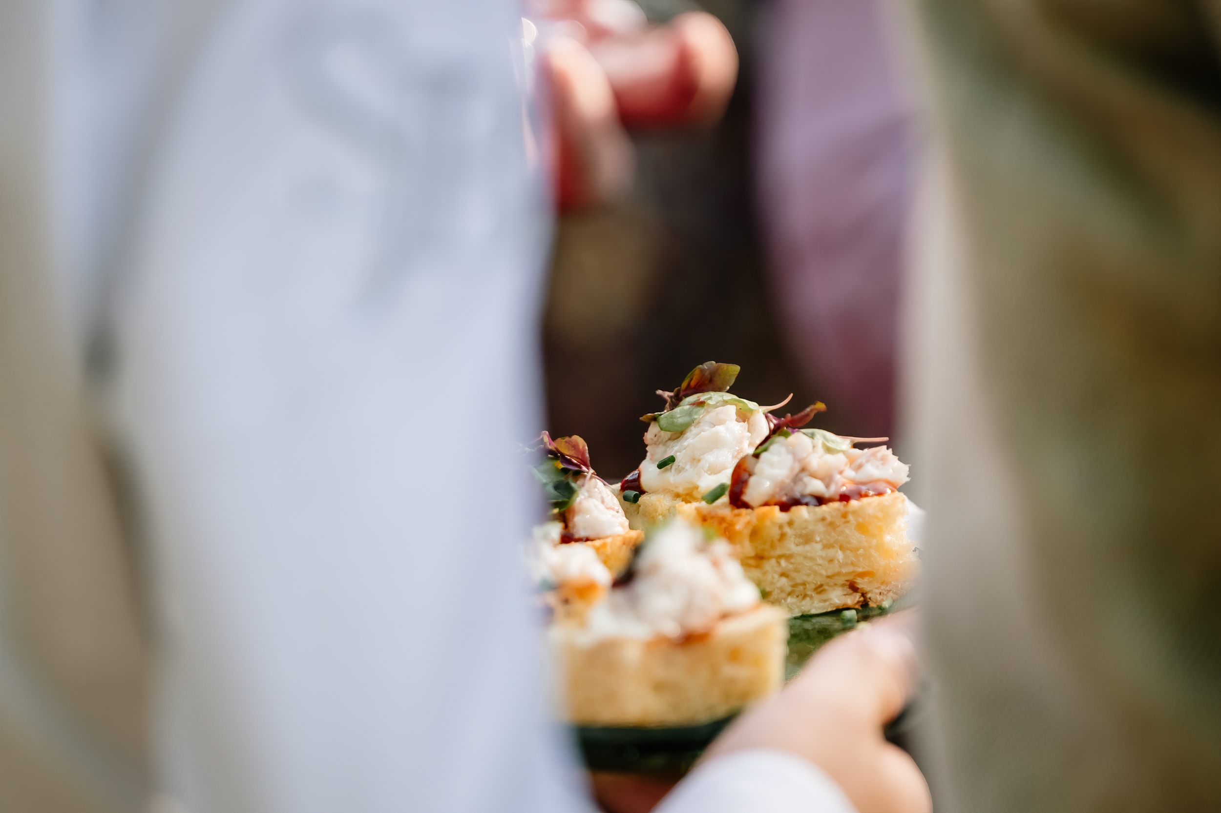 hapjes wordt geserveerd tijdens een botanica tuinfeest