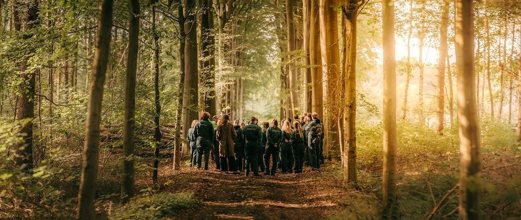 werknemers in bos tijdens teambuilding